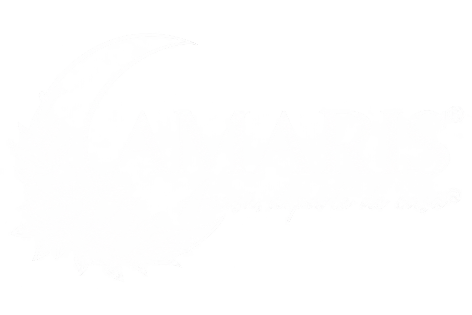 AMARIS®, Acasă, departe de casă®